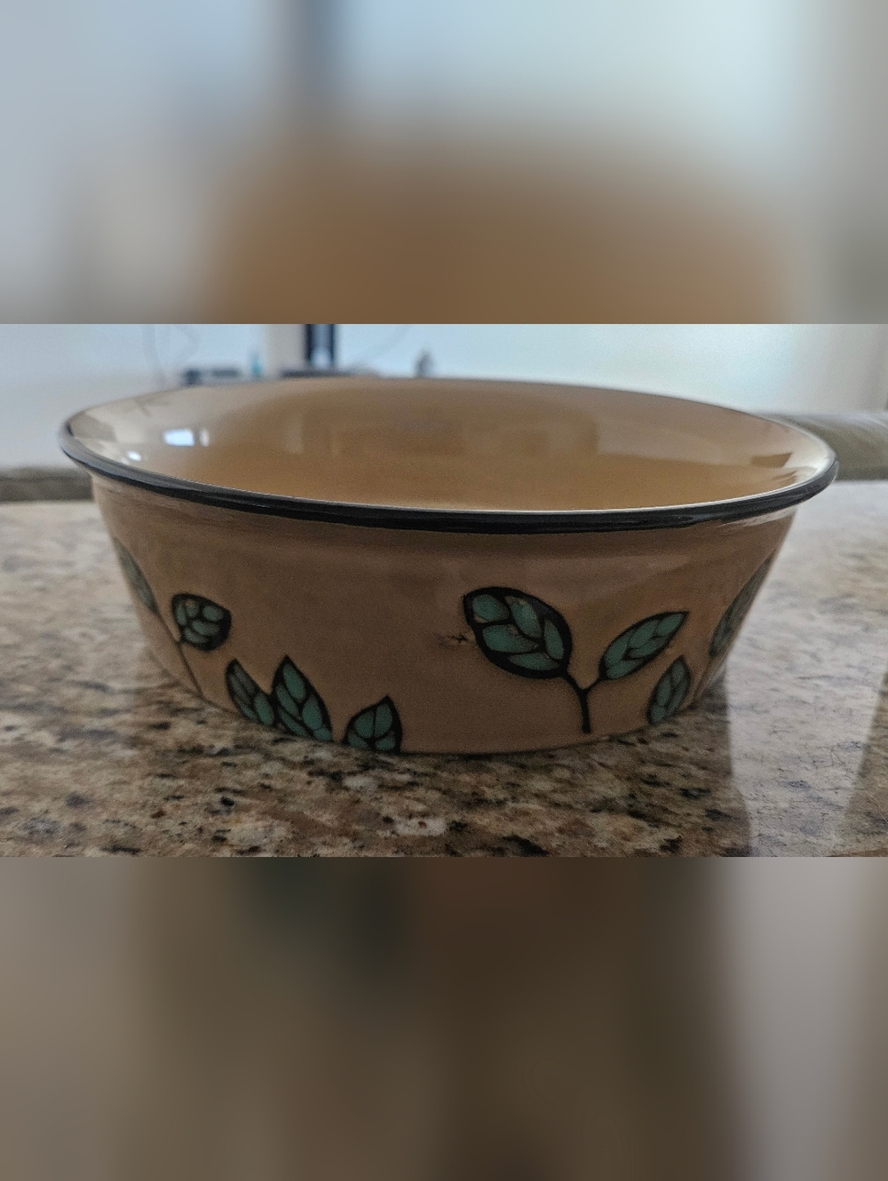 Gibson Round Ceramic Dog Bowl in Tan with Cream Rim With Green Leaves On Side
